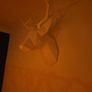 Wall decor Image 5