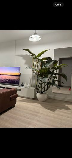 Artificial Plant