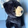 TY Bear Midnight Image 2