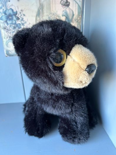 TY Bear Midnight