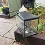 Fish Tank Image 2