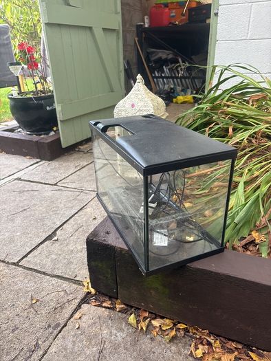 Fish Tank