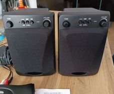 Wireless Speaker System Model 4200