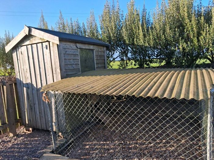 Good solid timber Hen house (6ftx4ft) & hen run