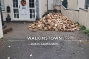 firewood walkinstown