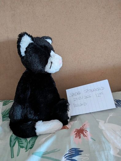 Jellycat Bashful Black & White Kitten BNWT