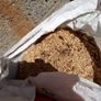 sawdust Image 4