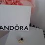 brand new genuine pandora ladybug charm Image 9