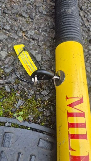 steeting wheel lock