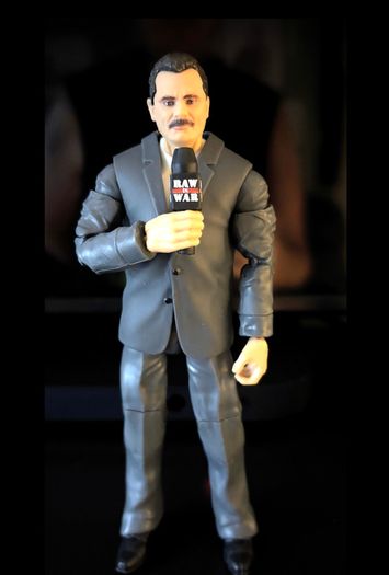 WWE Wrestling Figures (prices listed)