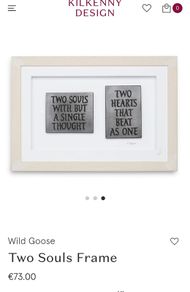 wild goose