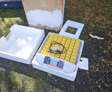 incubator