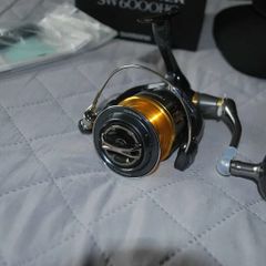 Shimano Twin Power SW 6000 HG