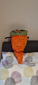 Soft toy carrot