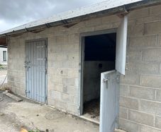 Horse Stable Doors
