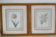 2 Vintage Framed Botanical Prints