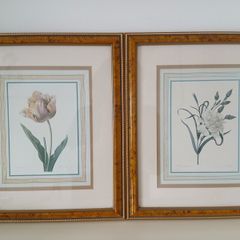 2 Vintage Framed Botanical Prints