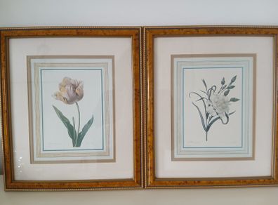 2 Vintage Framed Botanical Prints