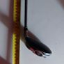 king cobra hybrid Image 8