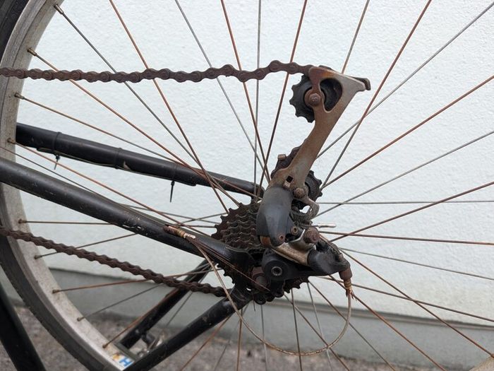 Project Giant Bicycle
