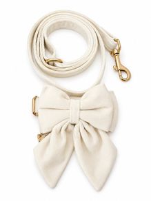 Dog Bow Tie & Lead Set