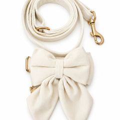 Dog Bow Tie & Lead Set