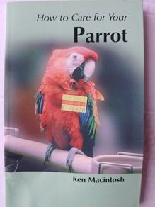 Parrot