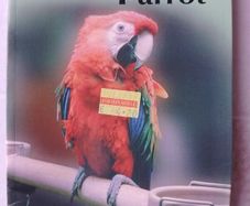 Parrot