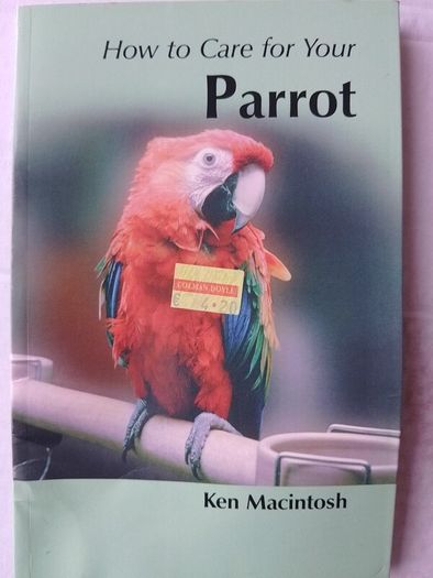 Parrot