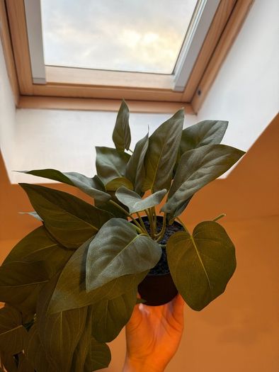 Artificial Plant