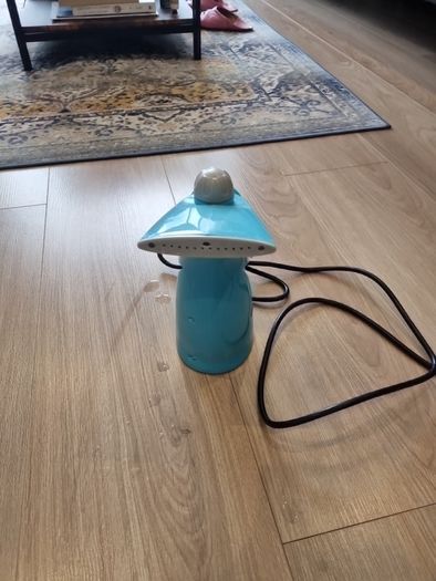 Steam Iron
