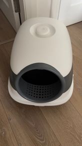 Cat litter