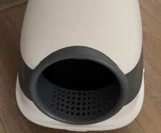 Cat litter