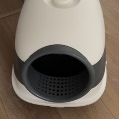 Cat litter