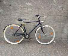 Ortler Detroit Men's bicyle