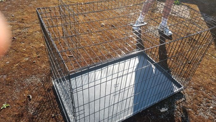 Dog cage