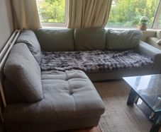 L-Shaped Grey couch