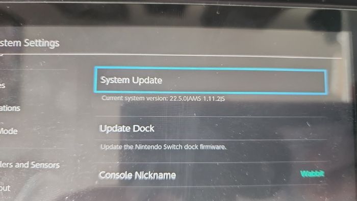 Nintendo Switch V1 - Jailbroken