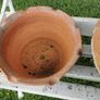 Selection of old terracotta pots Image 7