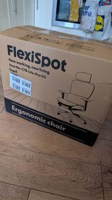 Flexispot Ergonomic Chair