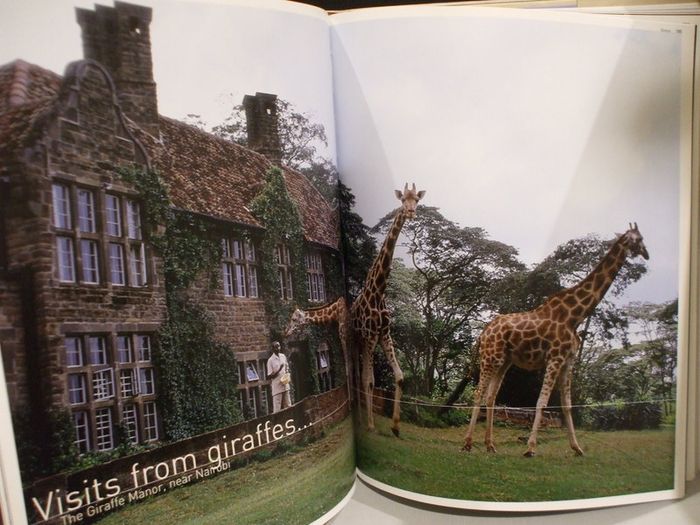 SALE! The Hotel Book - Great Escapes AFRICA by Shelley-Maree Cassidy
