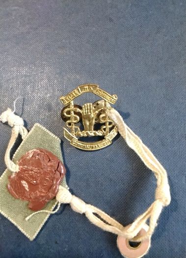 Eire   Army   Badge
