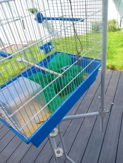 bird cage and stand