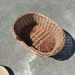 Dog basket