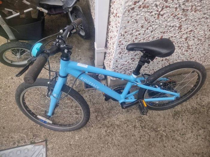Girls/Boys Ridgeback bike.
