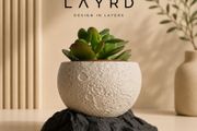 Modern 3D Printed Decorative Plant Pot
