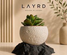 Modern 3D Printed Decorative Plant Pot