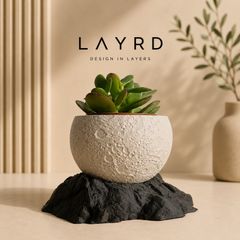 Modern 3D Printed Decorative Plant Pot