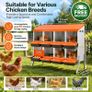 Chicken Nesting Boxes with 8 Compartments and Support Legs  Roll Away Egg Collection System Image 2
