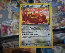 Ursaring ! Radiant Collection ! from Legendary Treasures Set ! 2013 ! Pokemon Card !